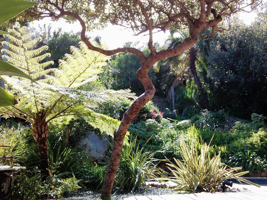 Hout Bay Hideaway Ξενοδοχείο Εξωτερικό φωτογραφία