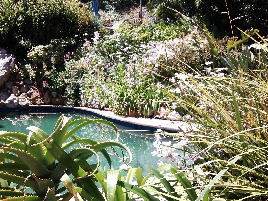 Hout Bay Hideaway Ξενοδοχείο Εξωτερικό φωτογραφία